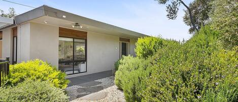 A modern house with a large glass window, a stone pathway, and lush greenery.