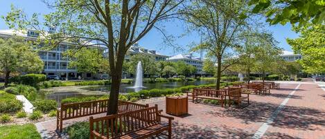 A courtyard with benches, a fountain, and a pond, surrounded by trees and buildings.