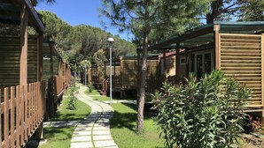 A pathway leading to wooden cabins with a clear sky above. - Lovely apartment in villa for 5 people with A/C, WIFI, pool, terrace and pets allowed (Bibbona)