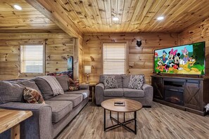 TV connectée, cheminée, jeux vidéo, lecteur de DVD