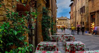 Betulla C, San Gimignano, Italy