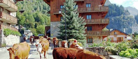 Enceinte de l’hébergement