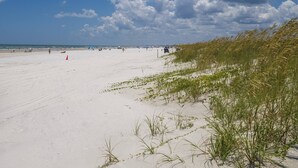 Une plage de sable, avec des dunes et une végétation clairsemée.