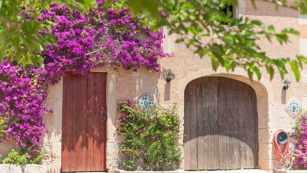 Ein Gebäude mit zwei Holztüren, einer Steinsäule und einem Garten mit violetten Blumen.