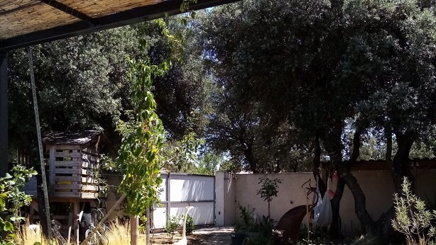 A covered outdoor area with a wooden structure, a pathway, and surrounding vegetation. - Bed and breakfast, quiet area near Orange, Vaucluse (Sérignan-du-Comtat)