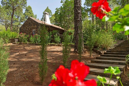 Idyllic volcanic stone chalet in a pine grove on the edge of the national park