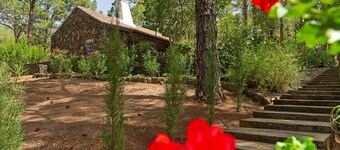Idyllic volcanic stone chalet in a pine grove on the edge of the national park