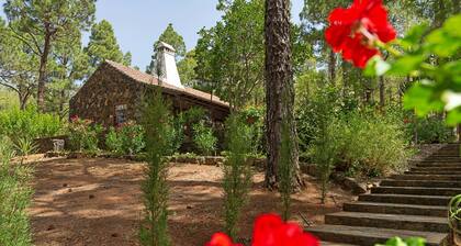 Idyllic volcanic stone chalet in a pine grove on the edge of the national park
