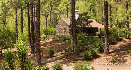 Idyllic volcanic stone chalet in a pine grove on the edge of the national park