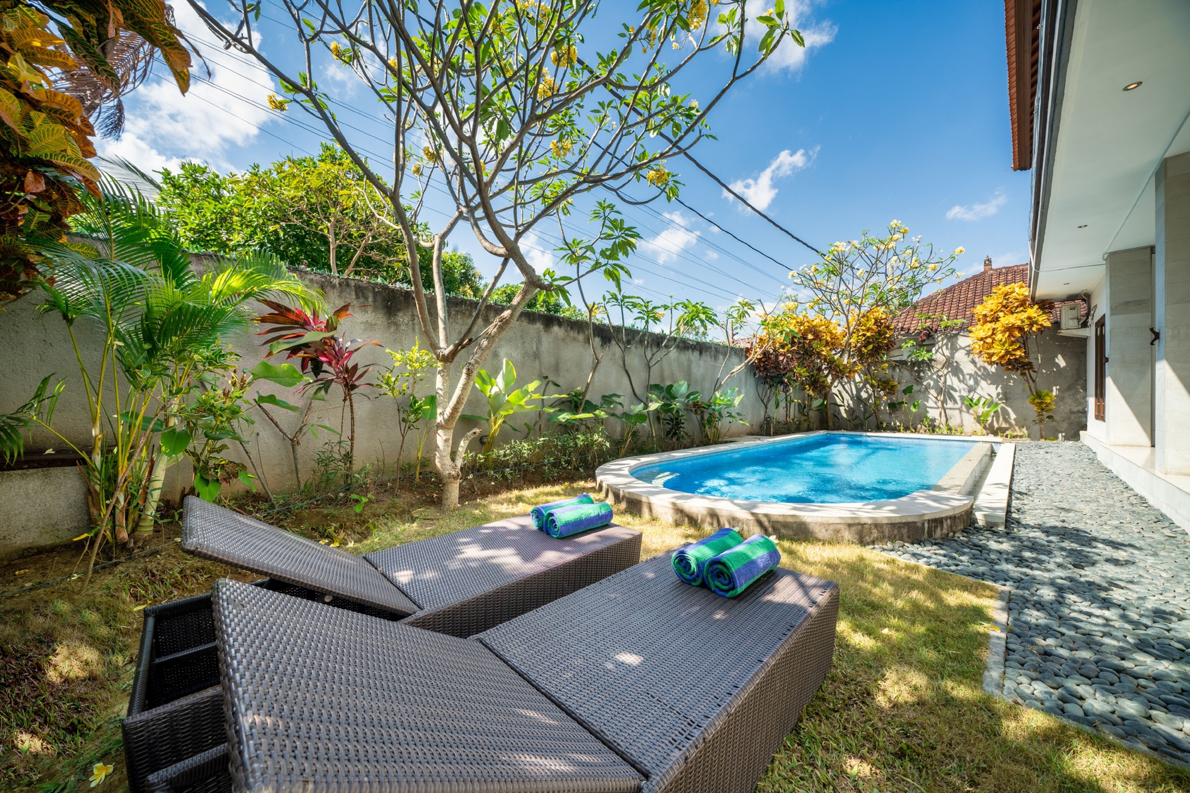 A backyard with a swimming pool, lounge chairs, and various plants.