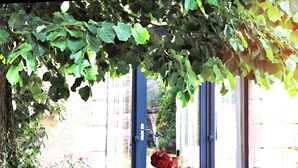 An outdoor seating area with a table, chairs, and a bench under a tree. - Loire Valley year-round country loft near Chinon (Assay)