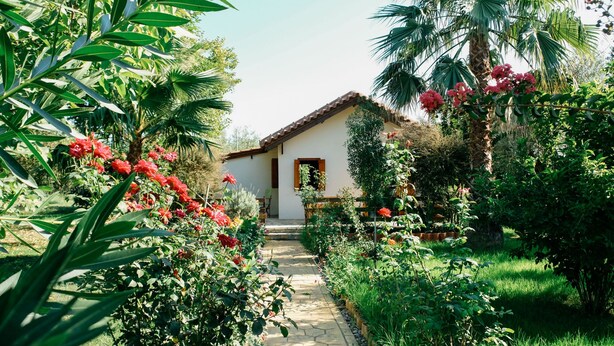A house with a stone pathway leading to the entrance, surrounded by lush greenery and flowering plants.
