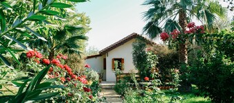 Beautiful Village Bungalow