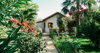 Beautiful Village Bungalow