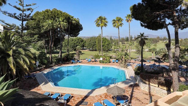 A swimming pool with lounge chairs and palm trees.