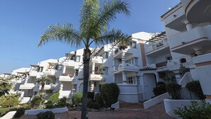 A residential building with multiple balconies, a palm tree, and a brick pathway.