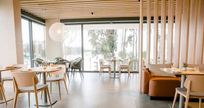 Mercure Fátima