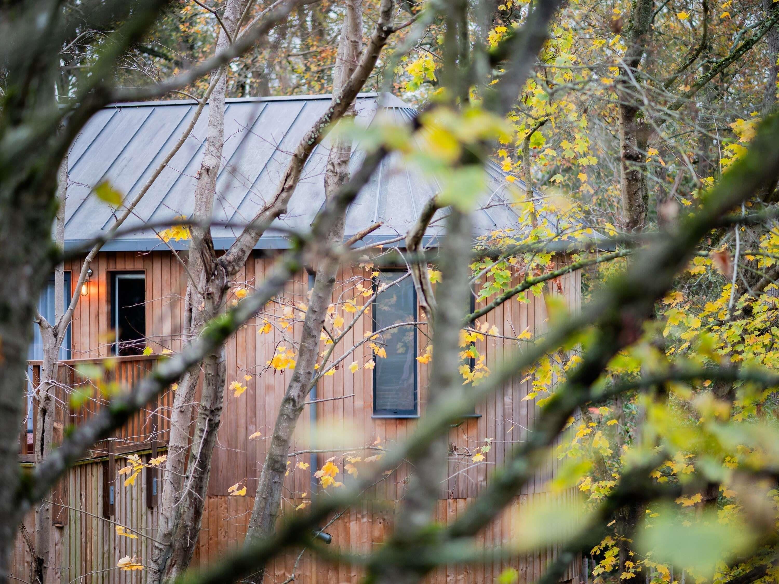 A rustic cabin with a metal roof, wooden walls, and a visible window.
