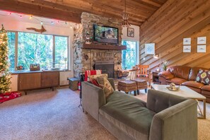 Télévision, cheminée, jeux vidéo, lecteur de DVD