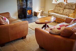 تلفزيون، مدفأة