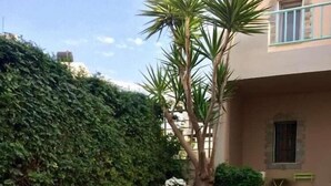 A stone pathway leading to a building with a large hedge and a palm tree. - Lotus Studios (Hersonissos)