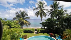 Une piscine à bord incurvé, entourée de palmiers et offrant une vue sur l’océan.