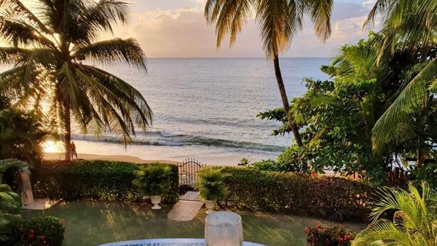 Une piscine, un verre de vin blanc à portée de main, entourée de plantes tropicales et offrant une vue sur l’océan.