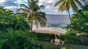 Un espace piscine offrant une vue sur l’océan et les palmiers.