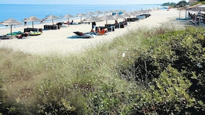 A beach with rows of sun loungers and umbrellas, a clear sky, and a calm sea.