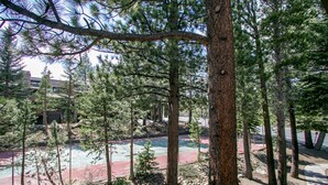 A forested area with a tennis court surrounded by trees. - Pet-Friendly, Spacious, Balcony. Near Biking Trails, Pool & Tennis Courts (Mammoth Lakes)