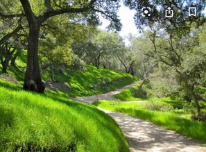 Miscellaneous - STUNNING HOME WITH SPA, FRONT AND BACK YARD, HUGE DECK, OUTSTANDING LOCATION (Lake Forest)