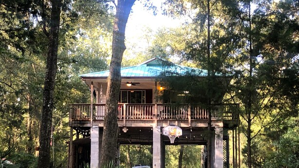 A treehouse with a balcony, surrounded by trees and greenery.