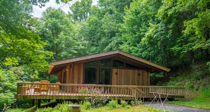 Blue Ridge Mountain Chalet - 13 Acres: Modern, Privacy & Windows