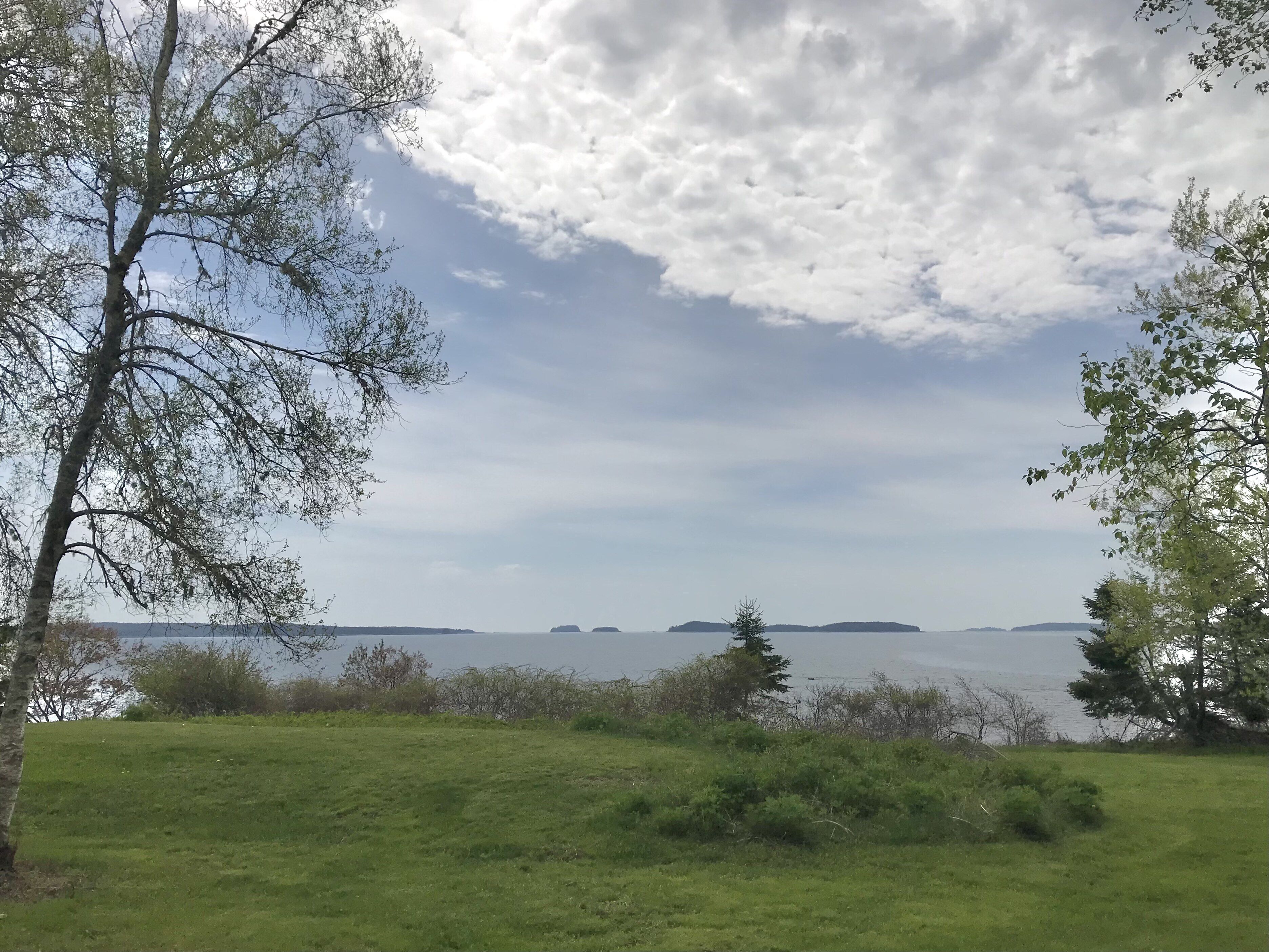 Un campo cubierto de césped con árboles y vistas al agua y a islas distantes.