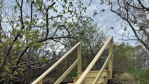 A wooden staircase with metal railings, built on a rocky surface with surrounding vegetation.