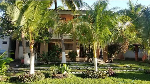 A building with a garden featuring palm trees and various plants. - Stunning and enjoyable beach house! (la libertad)
