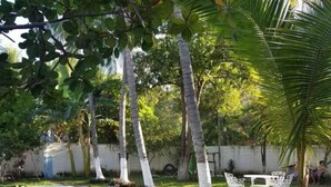 A swimming pool surrounded by a well-maintained lawn, white chairs, and palm trees. - Stunning and enjoyable beach house! (la libertad)