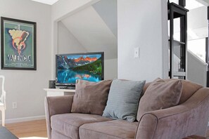 TV, fireplace, books