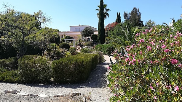 Ein angelegter Garten mit einem Weg zu einem Gebäude.