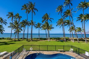 Outdoor pool - Oceanfront, two-bedroom, recent full remodel, gorgeous sunsets every night (Kihei)