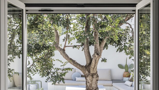 A modern interior with a large window, a tree, and a seating area with a sofa and chairs.