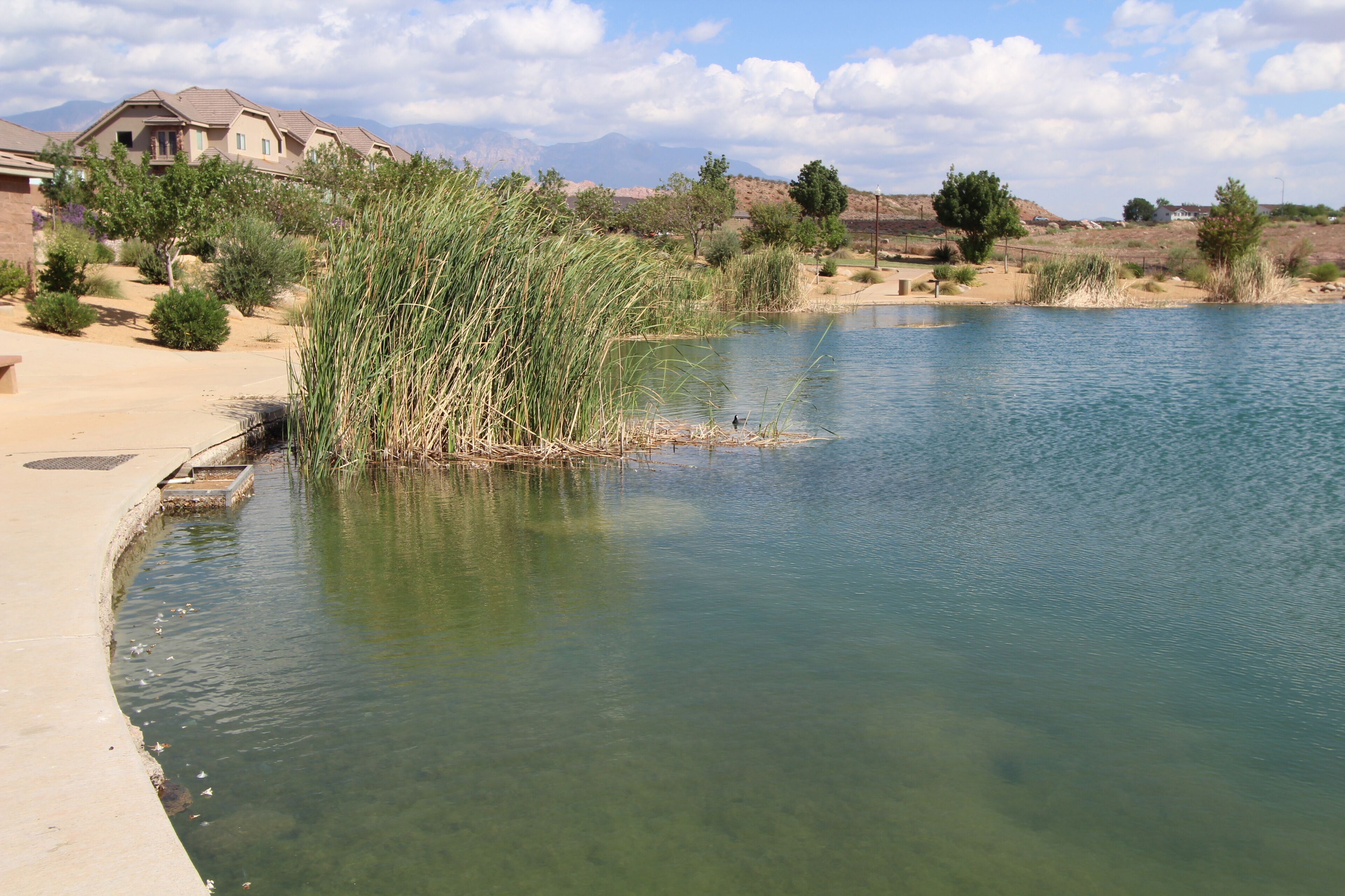 Eine friedliche Seenlandschaft mit klarem Wasser, umgeben von viel Grün und einigen Gebäuden im Hintergrund.