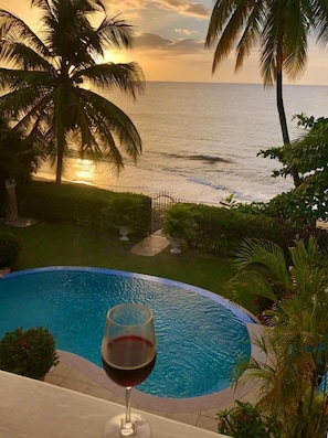 A pool with a glass of red wine, surrounded by palm trees and a view of the ocean at sunset.