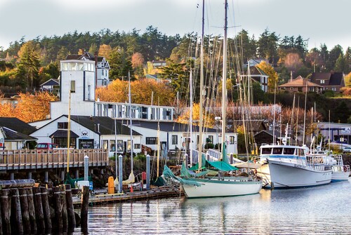 Multi Resorts at Kala Point