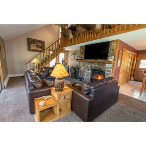 Smart TV, fireplace, DVD player, books