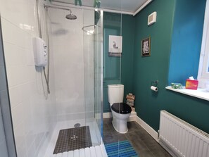 Shower, hair dryer, soap, shampoo - Eryri /Snowdonia. 3 Bed. Zipworld,hiking,walking,dogs welcome. Short breaks.  (Blaenau Ffestiniog)