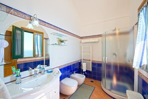 Shower, hair dryer, bidet, towels