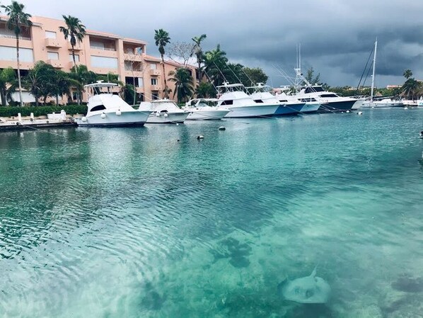 Marina