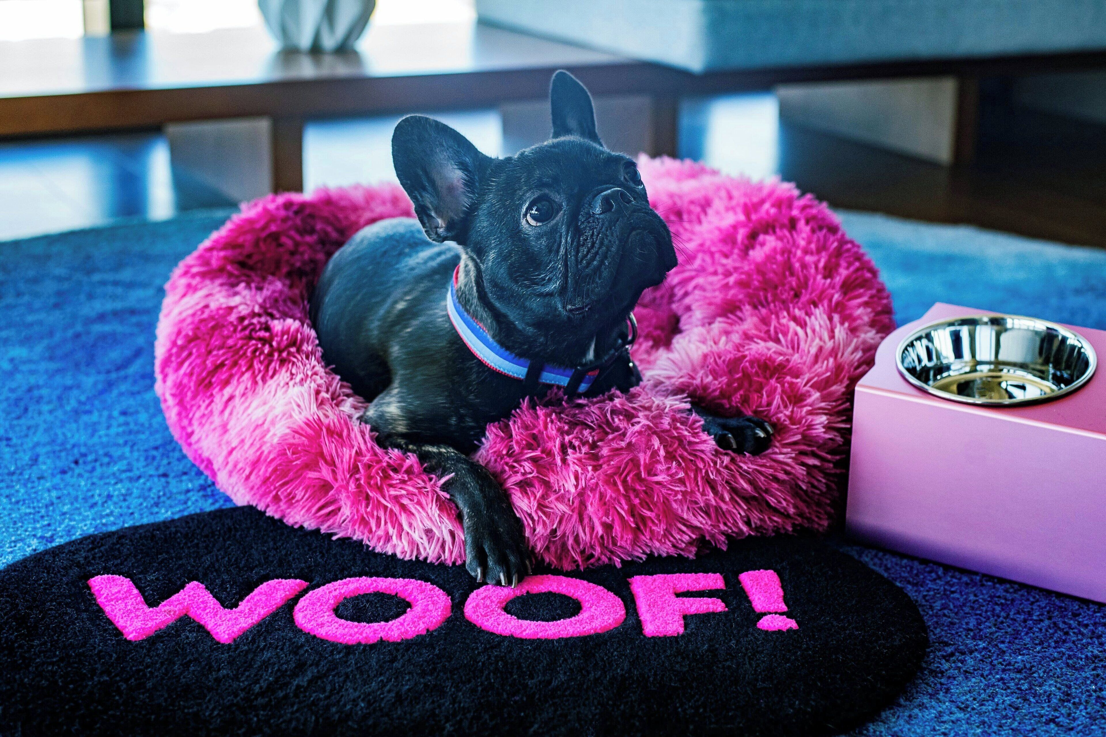 A black dog in a pink bed with a black mat on the floor that says "WOOF!".
