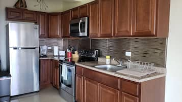 Deluxe Apartment | Private kitchen | Full-size fridge, microwave, oven, stovetop